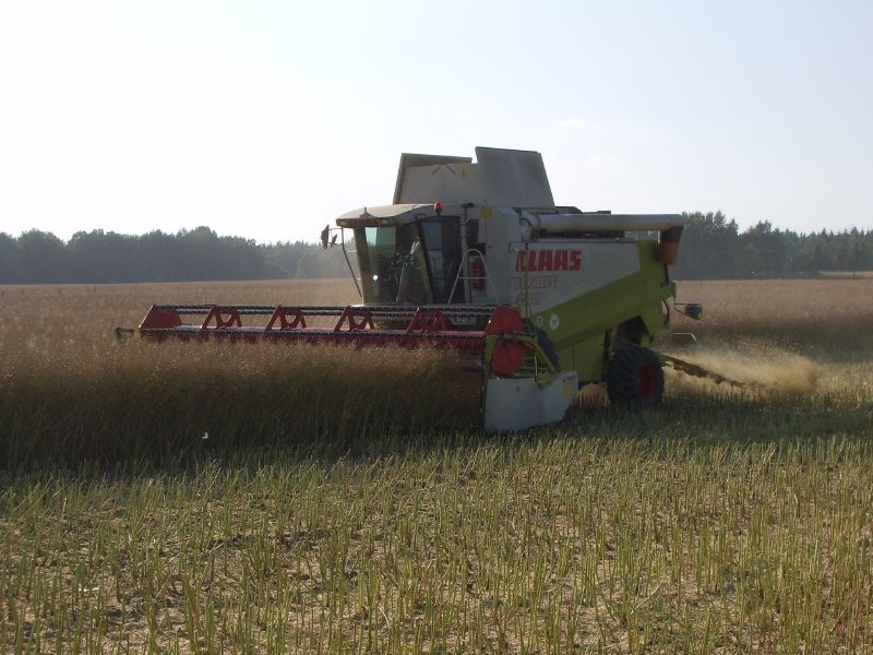 Claas Lexion 480 02.jpg